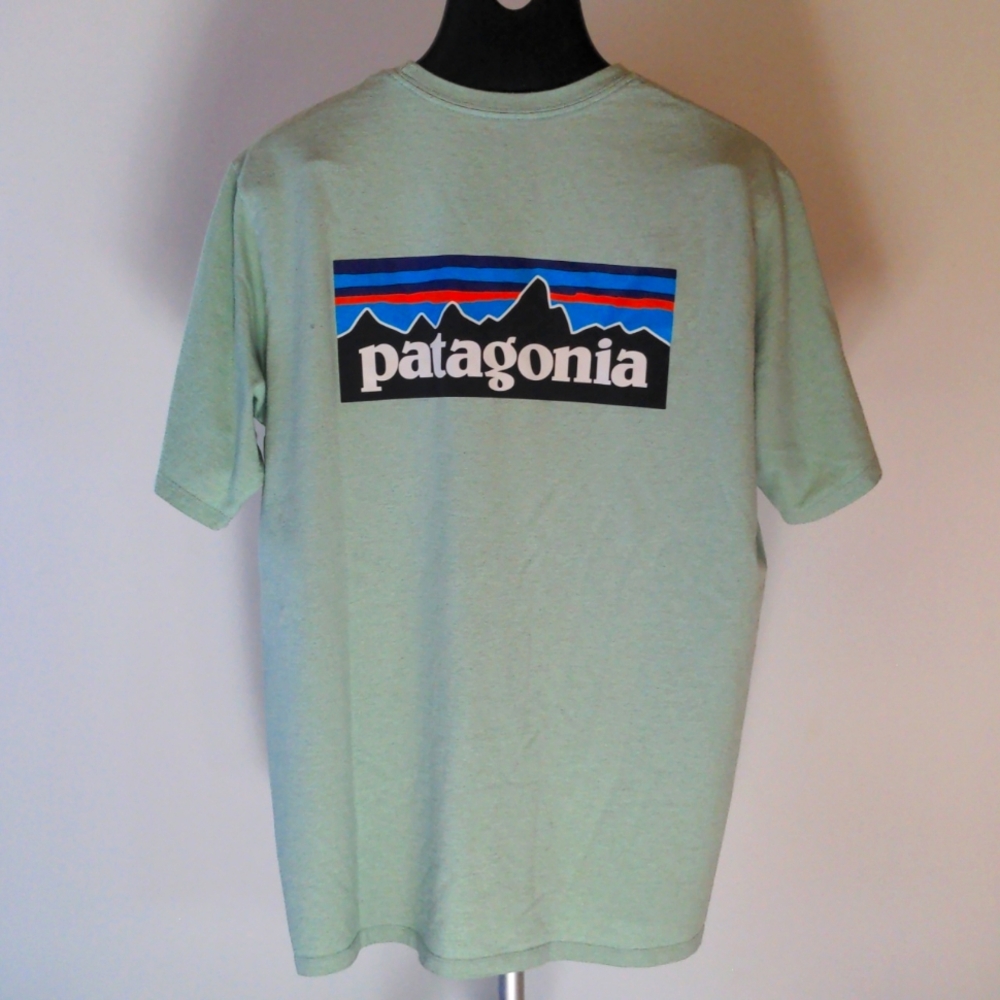 Patagonia Logo Tee